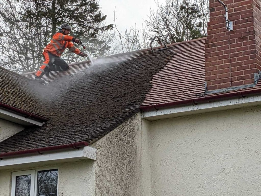 Roof Moss Removal